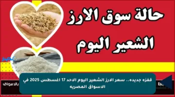قفزة جديدة.. سعر الأرز الشعير اليوم الأحد 17 أغسطس 2025 في الأسواق المصرية